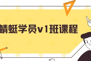 斜杠蜻蜓学员v1班课程