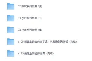 《戴建业老师B站微课合集》[mp4]