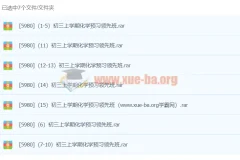 初中化学 初三上学期化学预习领先班 （15）江成