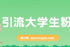 免费资料引流大学生粉一部手机实现日入300+,蓝海项目
