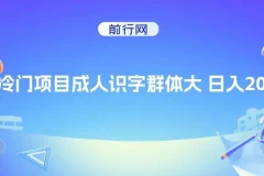 抖音快手成人识字冷门项目日入2000+