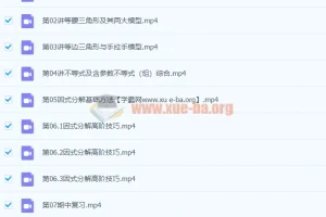 初中数学 刘岩 初二数学2021年春季北师大尖端