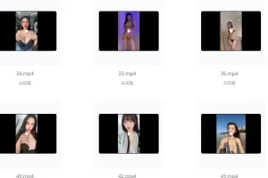 网络各大平台女主播擦边付费小视频合集