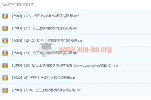 初中化学 初三上学期化学预习领先班 （15）江成