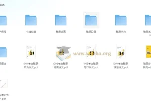 考虫雅思系统班 【29.7GB】