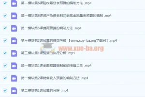 徐欣：全面预算的编制执行与控制