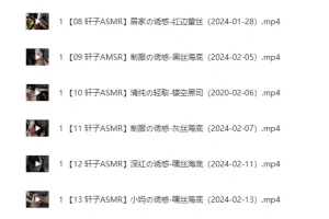《轩子ASMR 2024丝袜主题直播合集05-44》无不良内容[MP4]