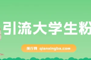 免费资料引流大学生粉一部手机实现日入300+,蓝海项目