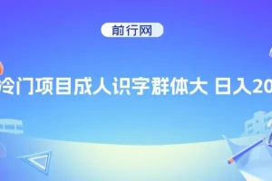 抖音快手成人识字冷门项目日入2000+