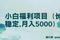 搏金汇第26课：小白福利项目（长久稳定，月入5000）