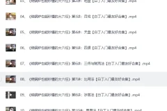 《陈叫兽:三小时入门玄学五术》[MP4]