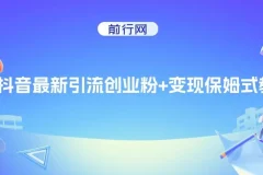 抖音最新引流创业粉+变现保姆式教程， 直接无脑套模板即可