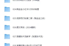 《最新热门抖音付费课程合集》[MP4][150GB]