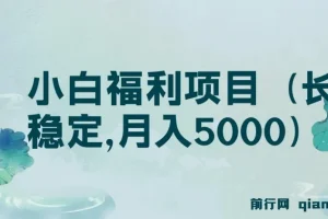搏金汇第26课：小白福利项目（长久稳定，月入5000）