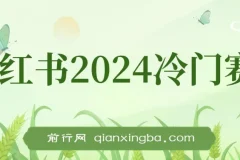 小红书2024冷门赛道，月入3万+， 暴力变现4.0， 纯小白喂饭级