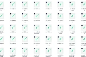 《500个民间怪闻故事》有声小说 全362集 一听就上瘾的民间鬼故事[MP3]