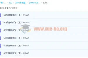 140招街球篮球初中高级标清教学视频 分享