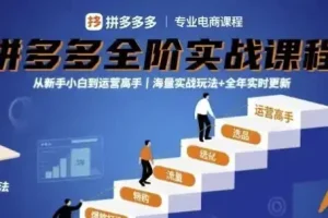 【大炮拼多多全阶实战课程，从新手小白到运营高手，海量实战玩法+全年实时更新【2025年9月更新】】