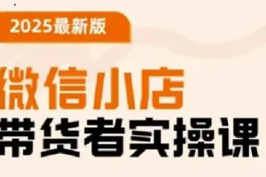 陈奶爸老师微信小店带货者实操课（2025升级版）