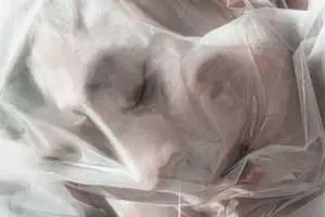 周国贤《Fall》[无损FLAC/MP3/83MB]