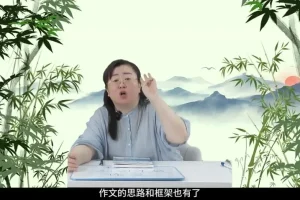 赵九妹L1-L7学习规划秘籍：40节攻克初高中核心考点