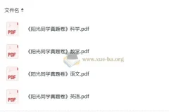 小学语文数学英语科学 阳光同学 小升初 真题卷