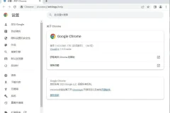 谷歌 Chrome浏览器优化版 v119.0.6045.124 官方正式版-绿色优化版(支持WIN7）
