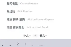 国外美食与视频创业全攻略：从素材搜索到抖音运营