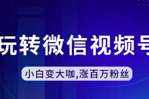 玩转微信视频号,小白变大咖,涨百万粉丝