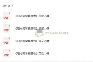 小学语文数学英语科学 阳光同学 小升初 真题卷