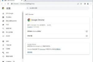 谷歌 Chrome浏览器优化版 v119.0.6045.124 官方正式版-绿色优化版(支持WIN7）