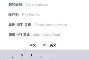 国外美食与视频创业全攻略：从素材搜索到抖音运营