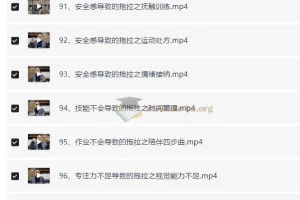 付峰老师家庭教育课程 学霸养成计划