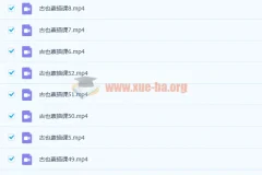 零基础到高级绘画人物头像细致绘画排线美术视频课程52讲