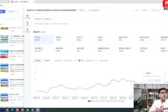 拼多多爆款运营实战课：活动+付费+自然流量全攻略
