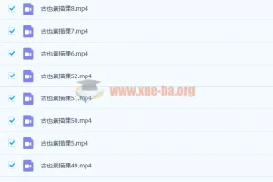 零基础到高级绘画人物头像细致绘画排线美术视频课程52讲