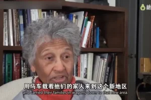 糖心理(跟创始人学家谱图:家谱图的绘制及应用)视频课程21讲