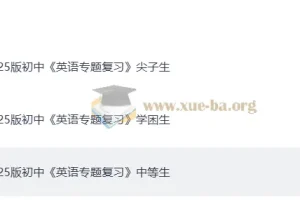 2025 初中英语 专题复习 学困生+中等生+尖子生（英语）