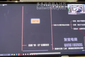 拼多多运营3节课：7-8月爆款实操技巧