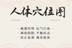 最全的高清人体穴位图以及穴位图解大全