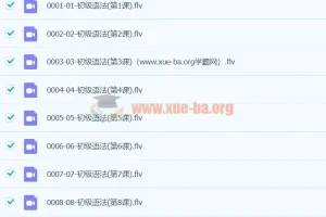 初中英语 初级语法 60课视频 FLV + PDF讲义