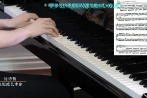 沈诗哲精讲哈农钢琴练指法60课全集