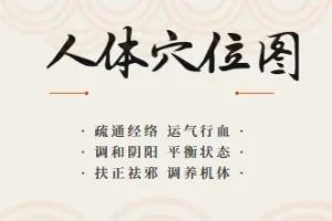 最全的高清人体穴位图以及穴位图解大全