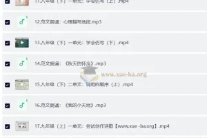 北大派派同步作文范文精读课（7-9年级）