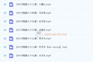 萝卜老师 写字练字课程两套合集