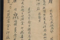 《德国某大学收藏的稀缺中医古籍》[PDF]