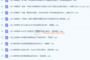AI实践真知课（31集全）