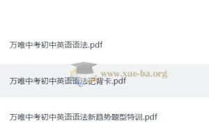 2025万维中考初中英语语法（789适用）