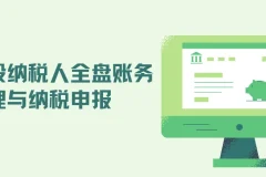 一般纳税人全盘账务处理与纳税申报
