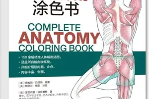 《完全人体解剖涂色书》150余幅精准人体解剖插图 涵盖所有解剖学系统 内容丰富全面[pdf]